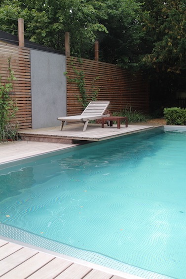 Wasserwand mit dunklem Granit und Sichtschutzwand aus L&auml;rche. Pool von Polytherm. (M&uuml;nchen - Solln)