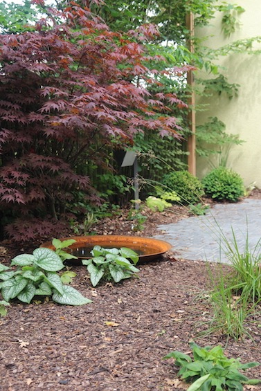 Wasserschale aus Cortenstahl und rotem F&auml;cherahorn. (M&uuml;nchen - Solln)