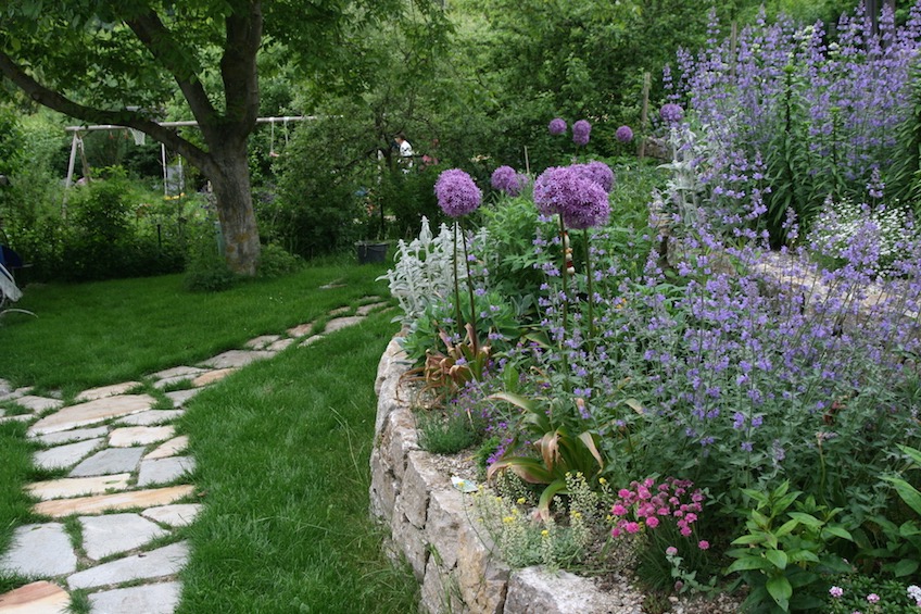 Terrassieren des Gel&auml;ndes mit Trockenmauern aus Muschelkalk. Bepflanzung mit violett bl&uuml;henden Stauden. Weg mit polygonal gebrochenen Quarzit Platten mit Rasenfuge in gelb und grau.  (Attenkirchen bei Freising)